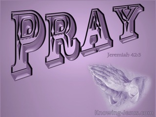 Jeremiah 42:3 Pray That The Lord May Show Us The Way (pink)